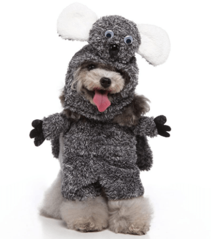 Funny Cosplay Pet Costume Set: Cute Cartoon Dog Outfit For Halloween And Christmas Dress-Up