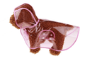 Transparent Waterproof Dog Raincoat - Stylish Protection For Your Pup